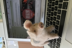 GH_DenmanatHome