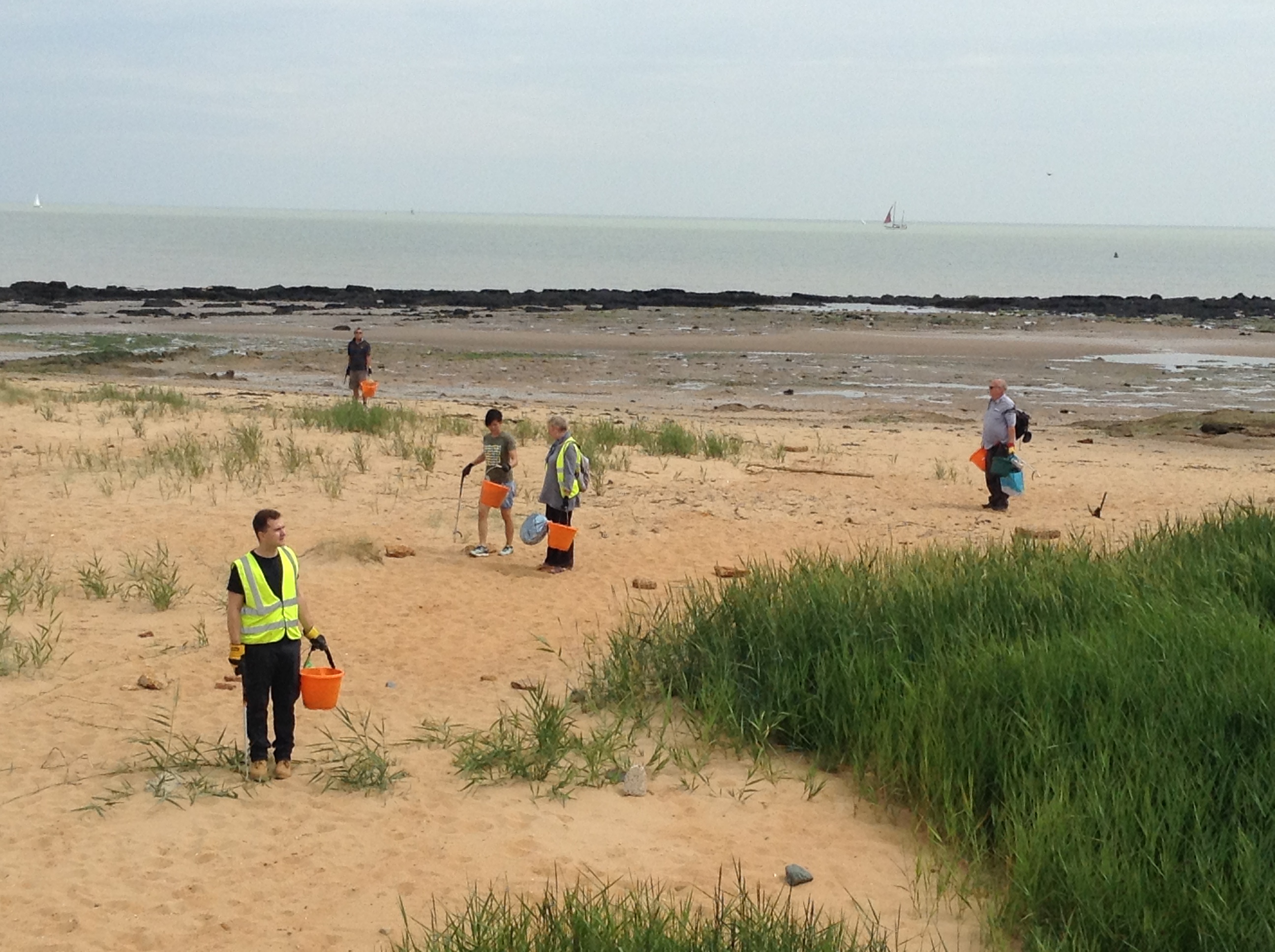 people with buckets on beach clean up operation